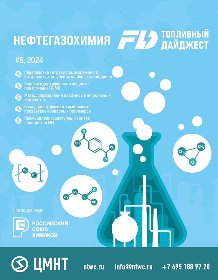 Специальный бюллетень Нефтегазохимия #6 2024