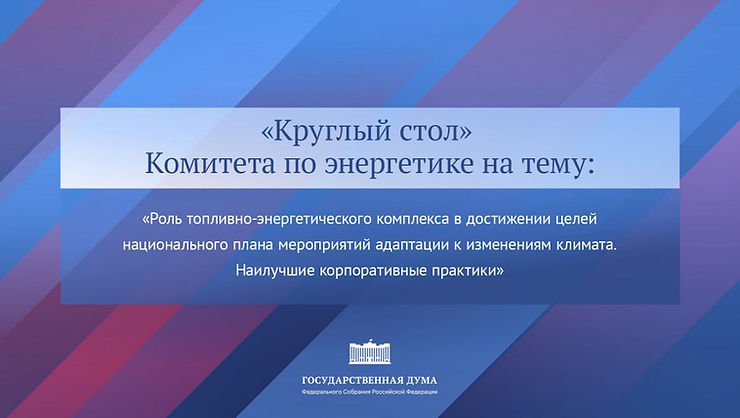 Генеральный директор ЦМНТ на заседании круглого стола Комитета Государственной Думы по энергетике
